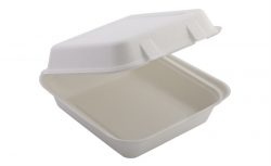 Food To Go Food Box Sugarcane Compostable