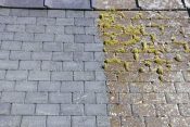 Go Moss Remover Selco No1 Amos Green Algae & Moss Remover